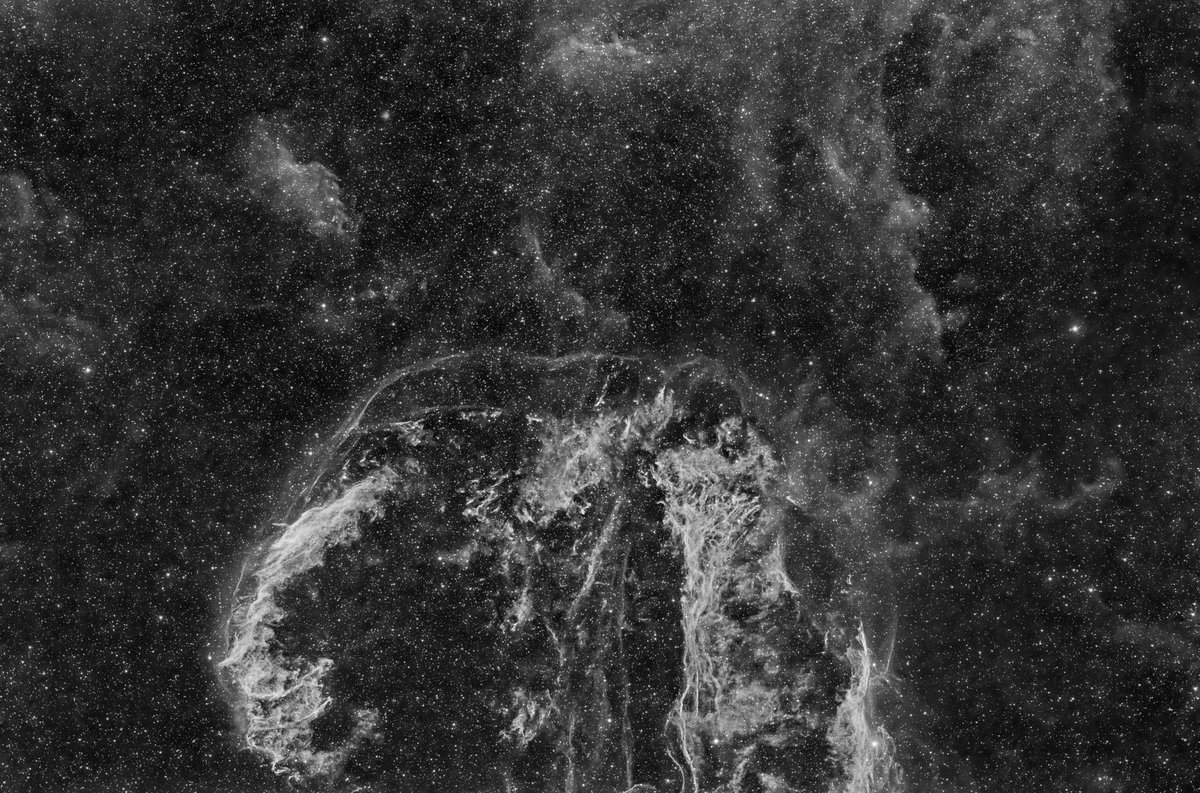 JkbSahner tweet media