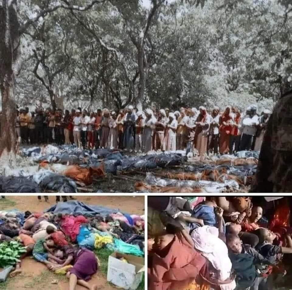 Classy Entertainment tweet media