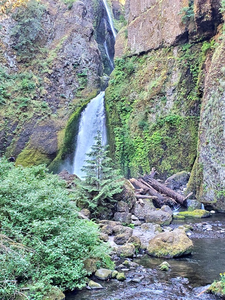 The nice thing about having a heavy rain season --> a gorgeous summer #PNW