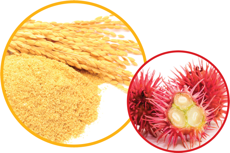 micropowders's tweet image. Check out our article in CoatingsTech - Novel Natural Additives for Surface Coatings by Richard Czarnecki, Vice President, Micro Powders, Inc.
coatingstech-digital.org/coatingstech/l… 

#NaturalAdditives #SurfaceCoatings