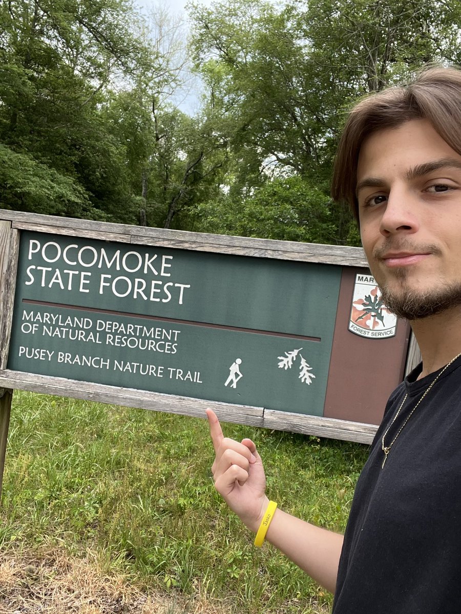 OfficialJaskoYT's tweet photo. If this tweet gets 1500 likes, I will drop a final Pocomoke Forest video Saturday. And I mean FINAL. Ending this chapter off with a BANG. (Literally) 

Here we go… ⬇️⬇️⬇️ https://t.co/QnnUYIjGDn