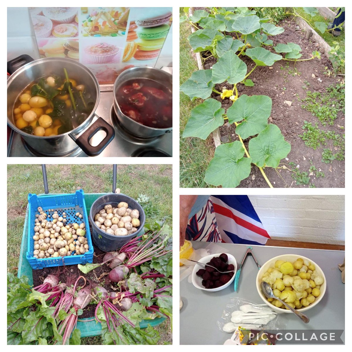 MaryTowerton's tweet photo. Would anyone like a potato or a slice (or two) of beetroot? Better be quick before they all get eaten https://t.co/spM9H7bzpr