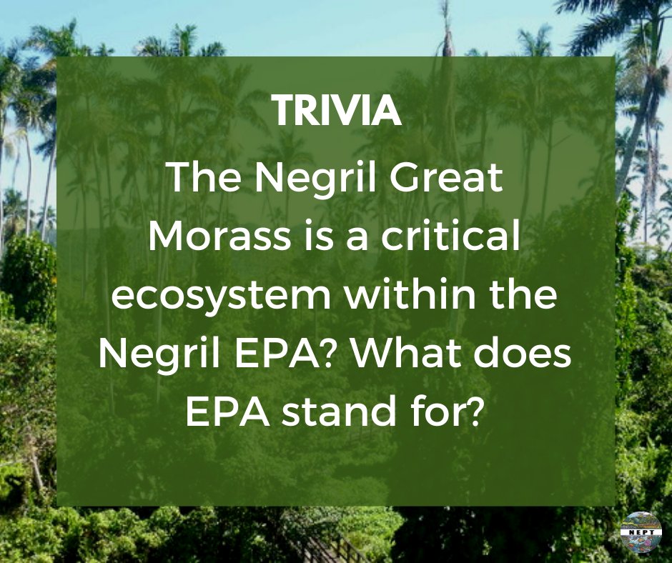 NEPT_NEGRIL's tweet photo. #TriviaThursday Have you been paying attention to our posts? What does the acronym EPA stand for? #nept #negrilepa #morass #wetland #conservation #biodiversity #trivia https://t.co/ElrNhdKkal