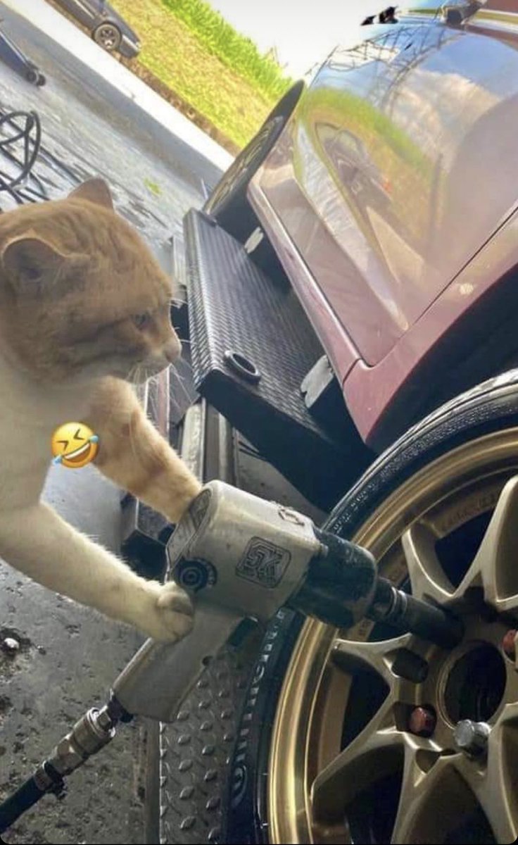 Look at my mechanic Dawg I’m fucked 😭