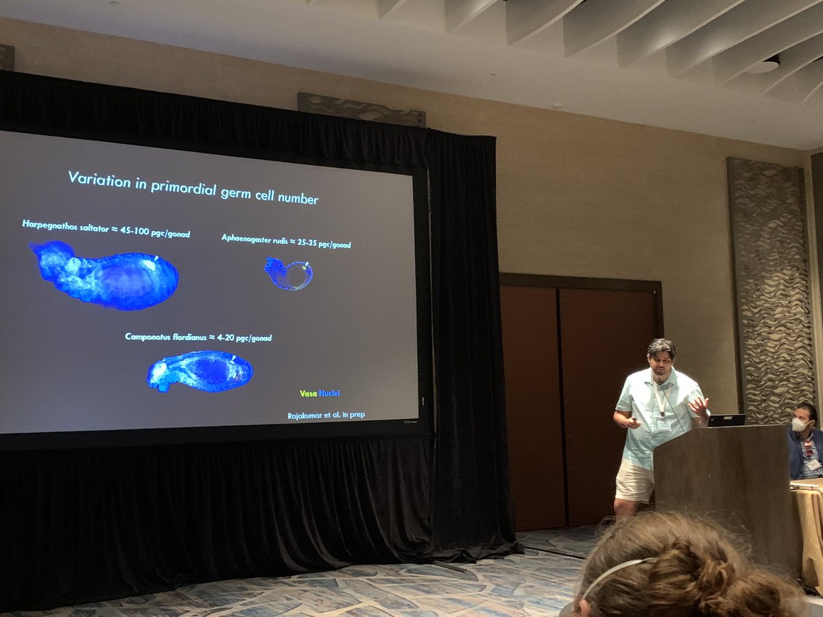 Dr. Corrie Moreau tweet media