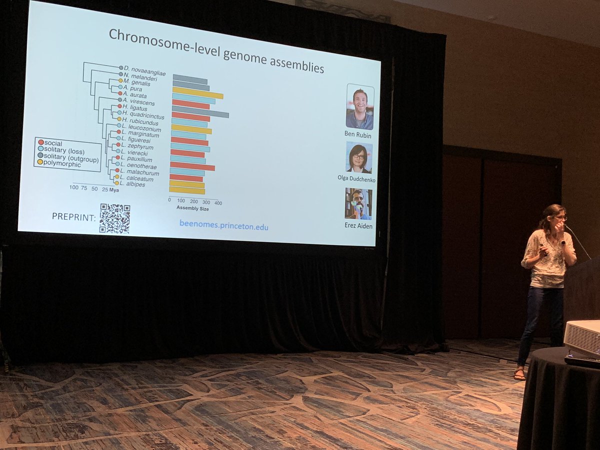 Dr. Corrie Moreau tweet media