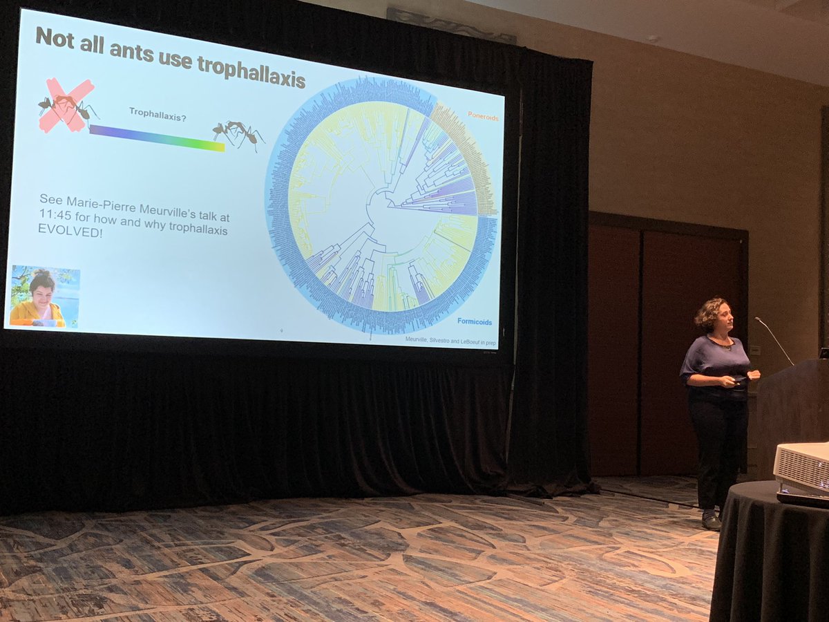Dr. Corrie Moreau tweet media