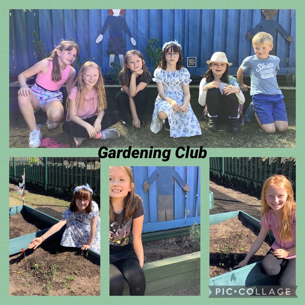 IPMATTowngate's tweet photo. In Gardening Club tonight, we planted mint and rosemary kindly donated by Mrs Smith. We could also see our wild flowers beginning to grow - how wonderful! #GardeningclubTPA, #Outdoorlearningtpa. https://t.co/rqmQenuZN8