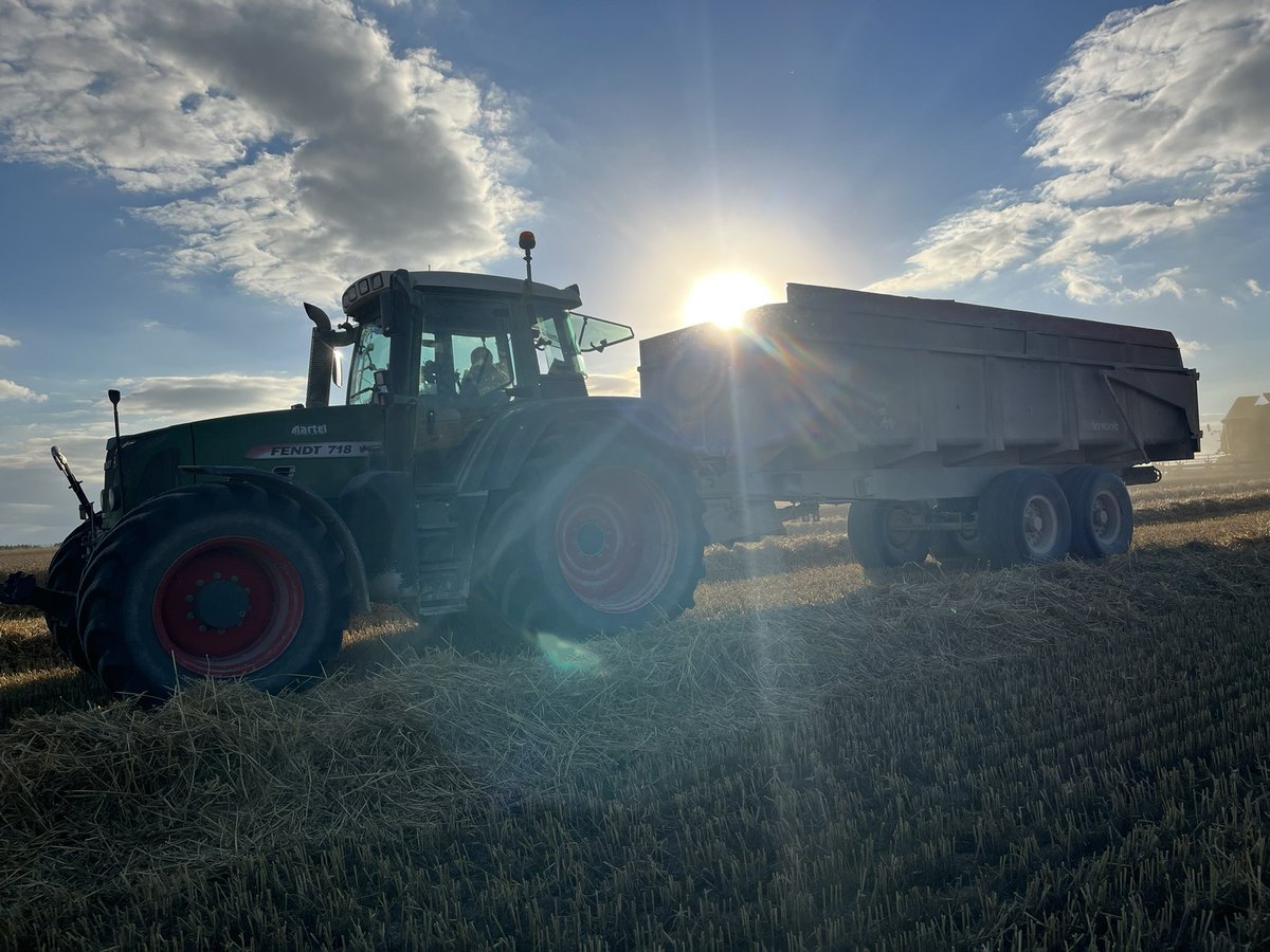 Un peu de soleil dans ma benne, s’il vous plaît !  #moisson #soleil #ble #agriculteurs #agriculture #AgricultureMonFutur