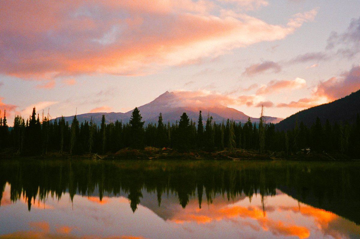 alexxhinson's tweet photo. oregon on 35mm film https://t.co/PRVTONrhUA