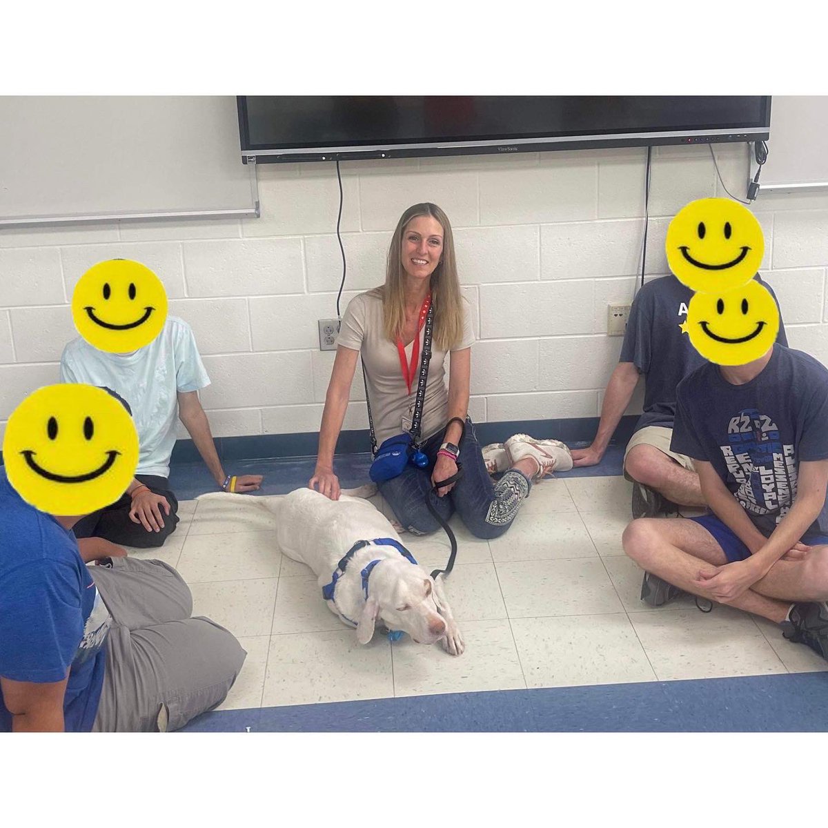 CellosCorner's tweet photo. Porter had a blast during his first week attending the Extended School Year (ESY) programs of two school districts! This week he wore his 🦈 bow tie and visited Northern Burlington County School District and Shamong Township School District! https://t.co/qFabfUe6IT
