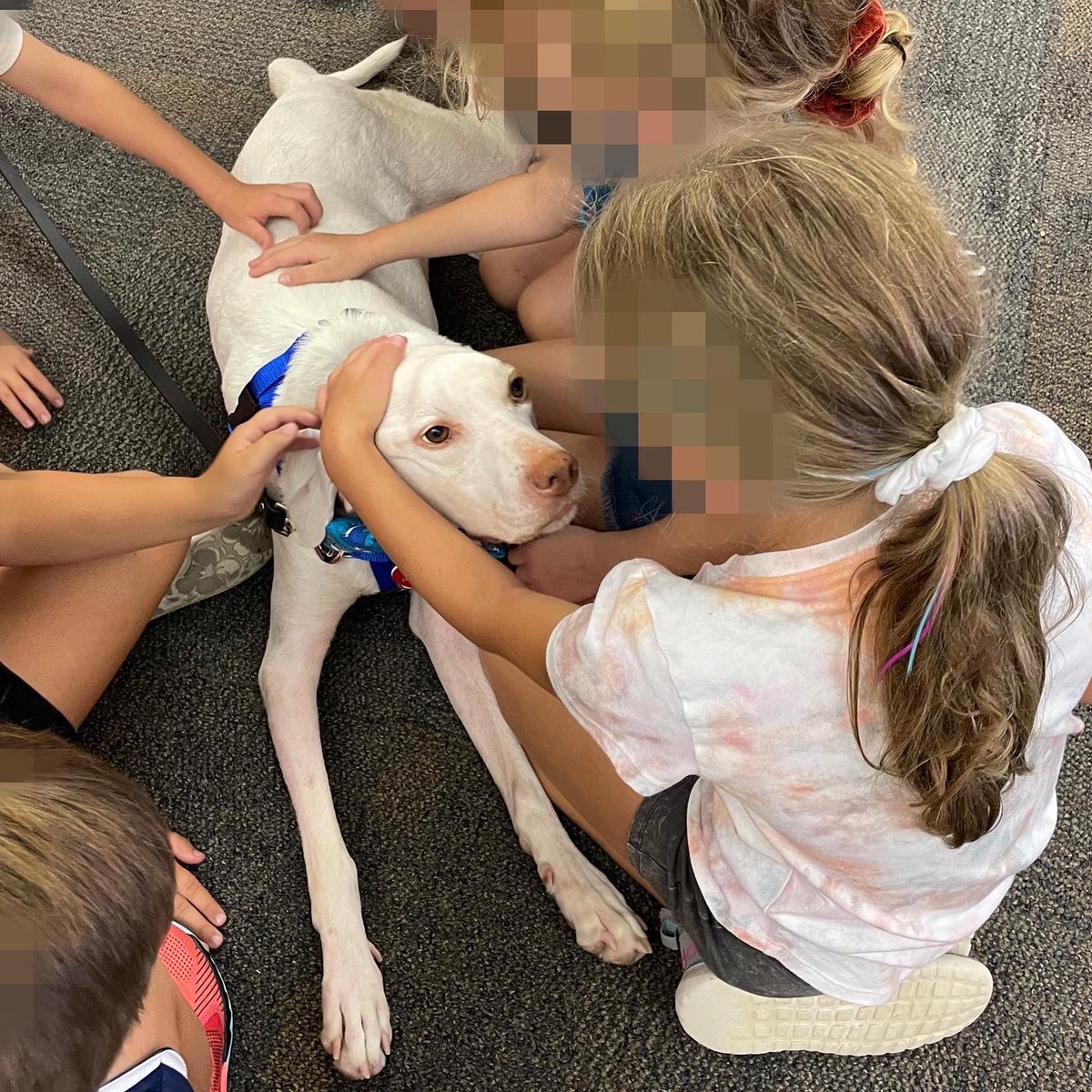CellosCorner's tweet photo. Porter had a blast during his first week attending the Extended School Year (ESY) programs of two school districts! This week he wore his 🦈 bow tie and visited Northern Burlington County School District and Shamong Township School District! https://t.co/qFabfUe6IT
