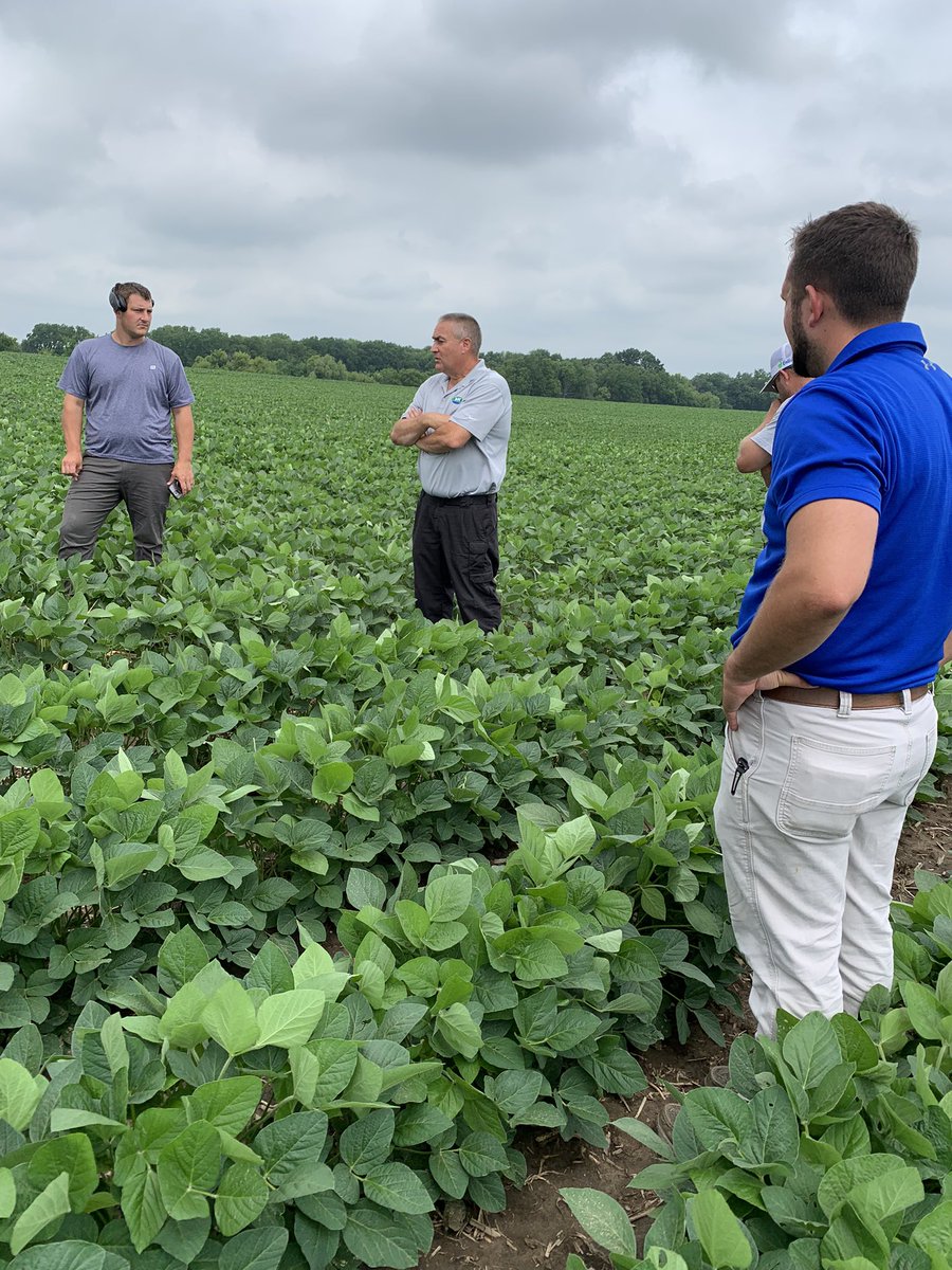 susieheavner's tweet photo. Thanks @CompanyCarroll for a great plot training day! 🌱🌽 Talked #SystemSupported packages - @InVISION_HiSOY paired with @NKSeeds is a winning combination! 🤩🙌🏻 #GrowNK22 @DanOleson2 @NKNorthernIL_WI https://t.co/EFRQAdC5HQ