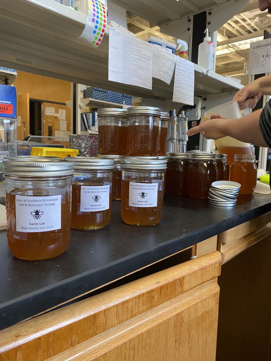 faizan015's tweet photo. Finished first bottling of pure pesticide-free honey! Second batch will be end of summer #honeybeeresearch #honey @USMArtsSciences @theticklab #ticklab #beelab #apisculture #firstbatch https://t.co/HXoYEgBNUn