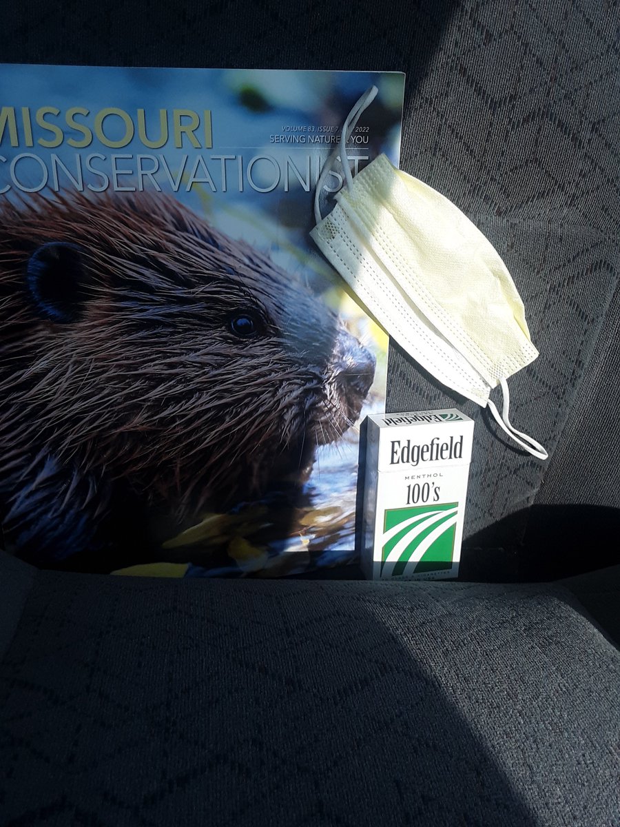 So many questions...
Smoking beaver or protect your smoking beaver? It's too hot out for jokes today this is serious day.../ghosts giggle
