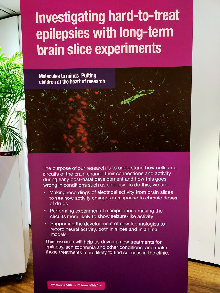 Ellen Black tweet media