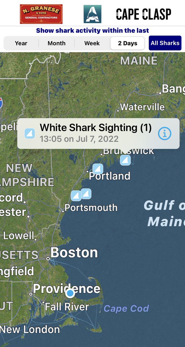 MA Sharks 🦈 tweet media