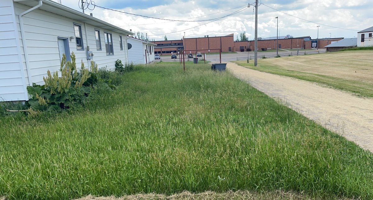 YardGuysLLC's tweet photo. Before ➡️ After.. 🔥🔥    #YardGuysLLC #LawnCare #yardwork #homeimprovement #landscape #mowing https://t.co/GTlwy5YzfF
