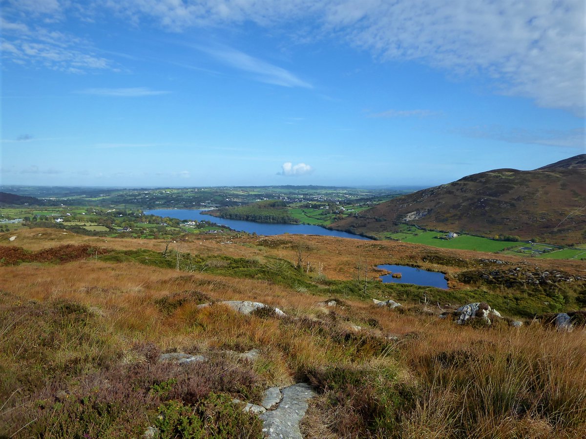 Derek Flack tweet media