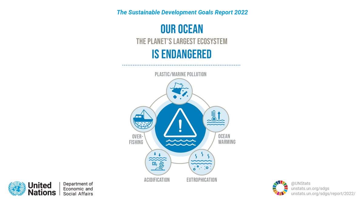 Human activity is endangering our ocean. 🌊

Continuing ocean acidification and rising temperatures are threatening marine species and negatively affecting marine ecosystem services. 

Learn more about the state of the ocean in @UNDESA's #SDGreport: unstats.un.org/sdgs/report/20…