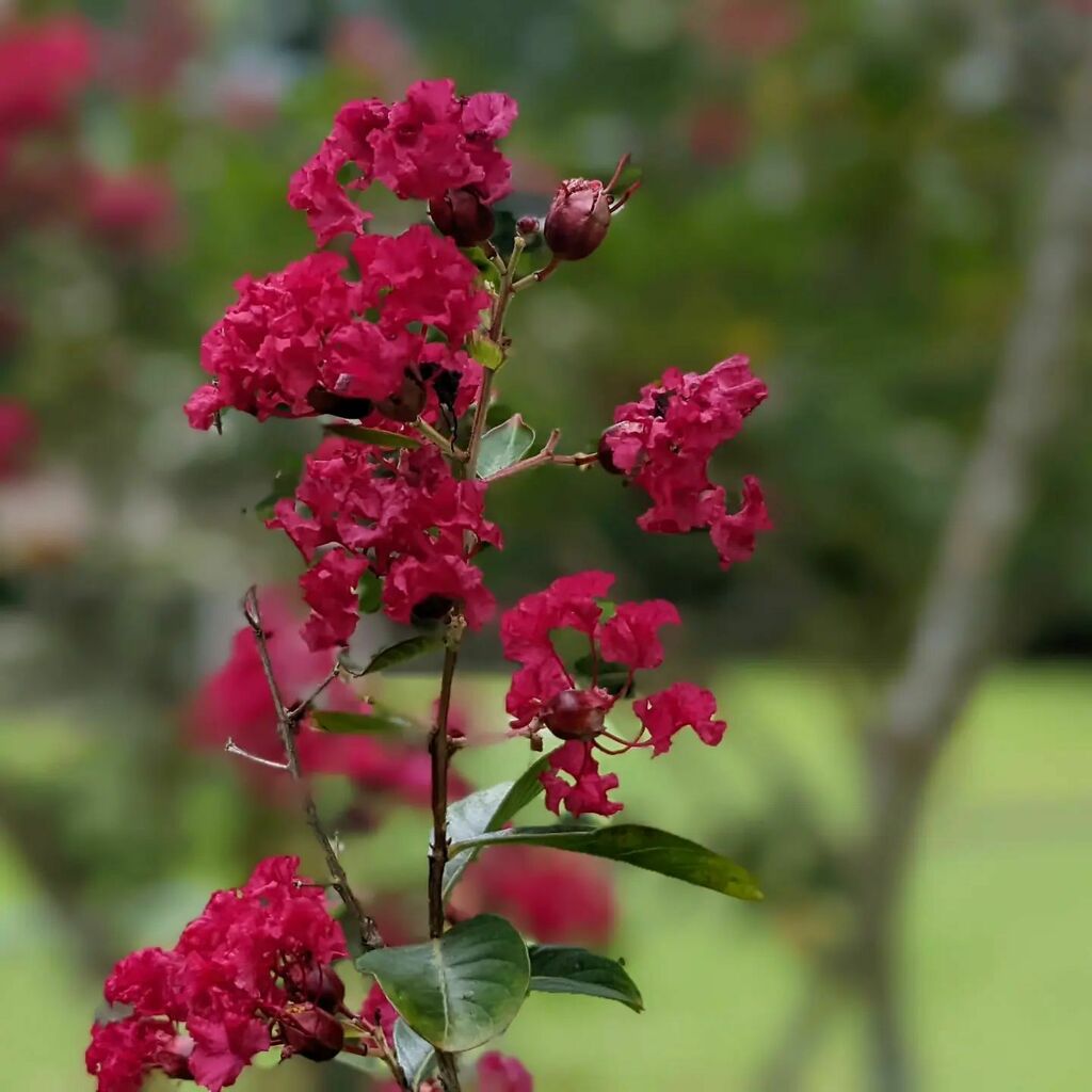 instagr.am/p/CfuKNWDOrpX/