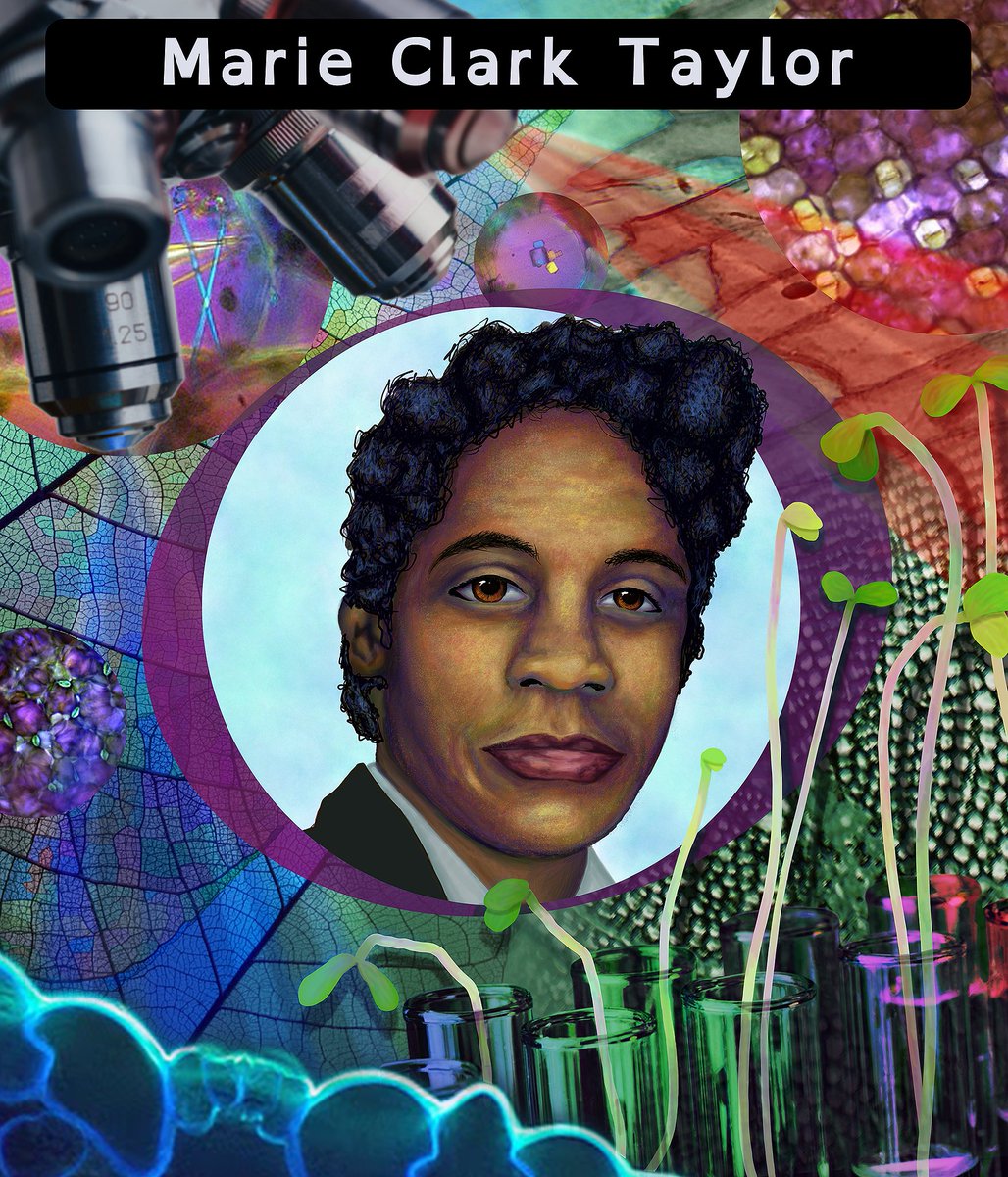 CellAtlas's tweet photo. Check out the PCA Art and Science Exhibit that will be up outside the general session hall during #PlantBio2022! Learn about historical Black plant scientists and applications of plant biotechnology. More info: https://t.co/GWU7cEPMwd https://t.co/adFXQPbuC7