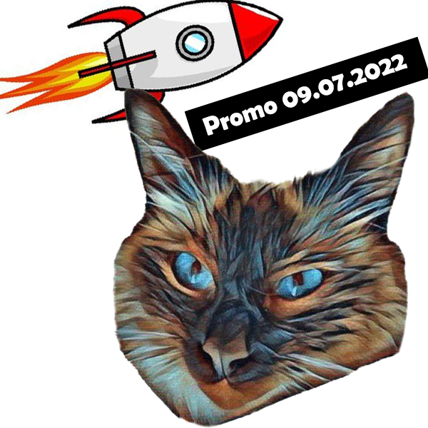 holybirmanorg's tweet photo. Dear Community! First of all, thank you for the growth in the last few days. Currently we are preparing the first relief action for animals in need. We will post photos of it on Telegram and Twitter. The next promotion was also planned today. This will take place on 09.07.2022. https://t.co/g3oaqGAak4