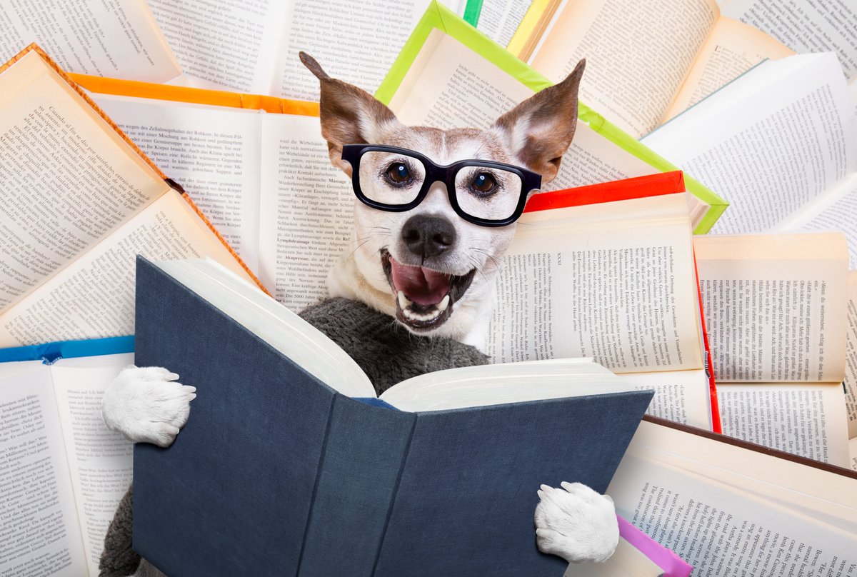 e_s_matthew's tweet photo. #WritingCommunity, let's help each other get our work out there. Share avenues for author interviews, book #podcasts, book festivals, book fairs, and other opportunities to promote our work in the comments. #writersoftwitter #writerslift #AuthorInterview #authors   #MSWL #PubTip https://t.co/8IkdTdBGZl
