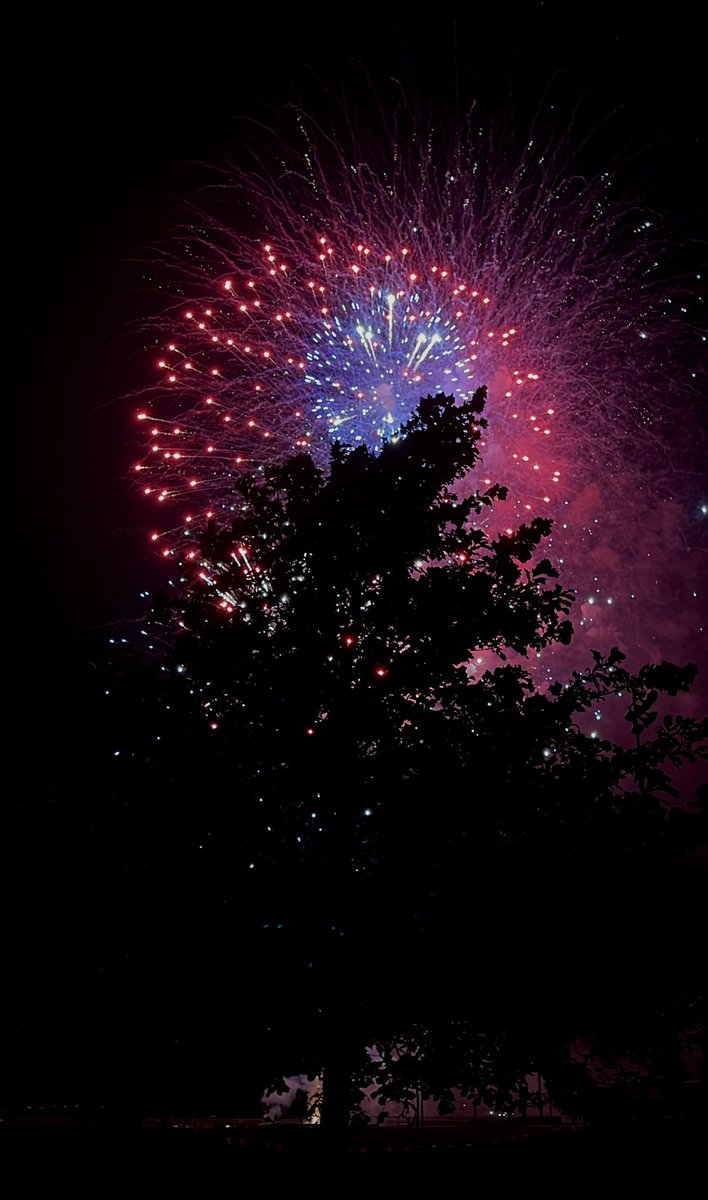 AgnesBMiles's tweet photo. Fireworks. Though, I think the tree was a star of the show. #fireworks #shotoniphone #shotonmoment https://t.co/0GdbgK46EL