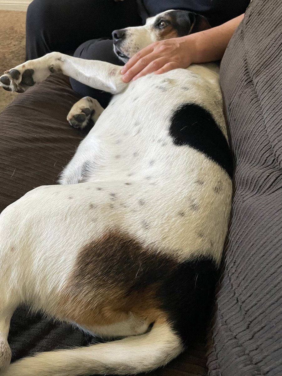 The Dude “Duggins” WooWoo Floppys tweet media