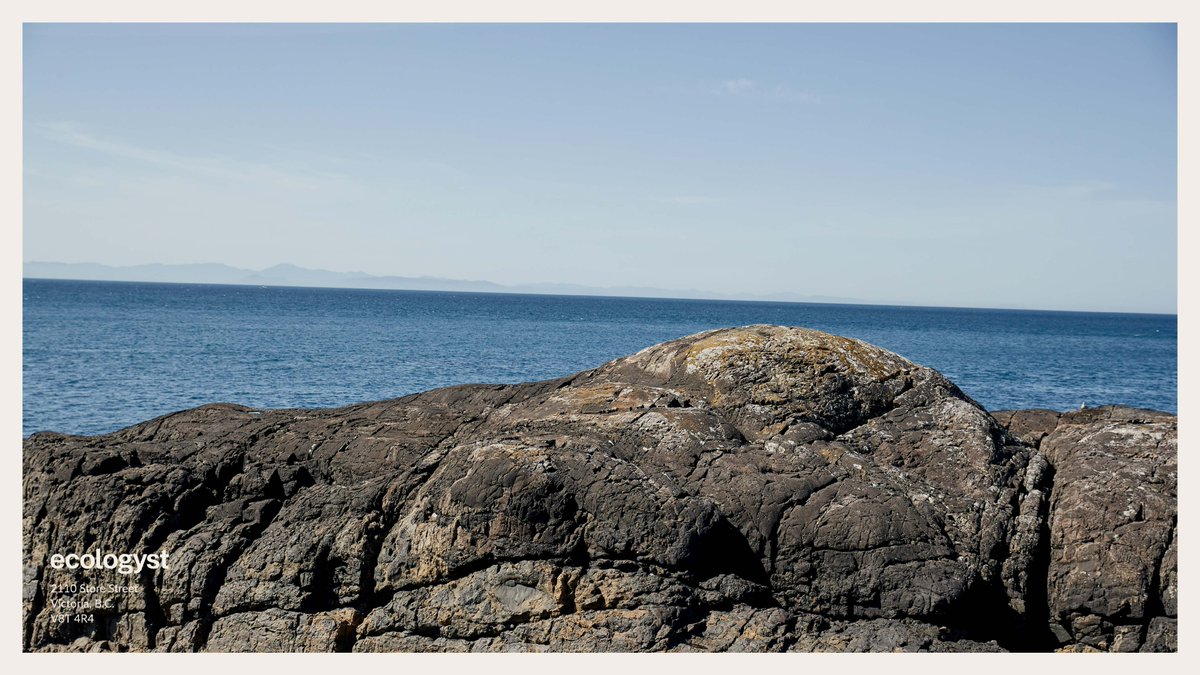 We are delighted to welcome <a href="/ecologyst_/">ecologyst</a> to the irlabs family. Ecologyst believes in owning fewer, better made all-natural apparel pieces that last for a lifetime. 

To read more about ecologyst and the other great companies we represent, visit: irlabs.ca/clients