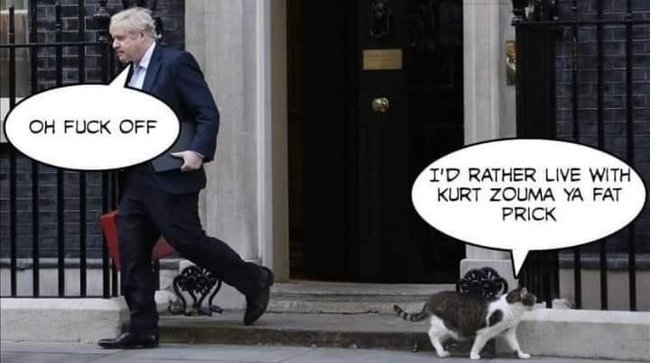 HatchetHarry's tweet photo. https://t.co/oucdVfUkD6