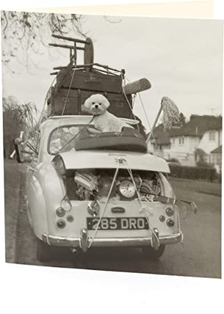 see you next month kids