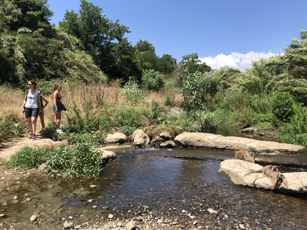 biobertajp's tweet photo. Matí voltant pel Ripoll (de Colobrers a la Bassa), buscant possibles punts per inspecció #ProjecteRius el curs vinent amb @inspauvila 
Coses que fem els profes quan no tenim alumnat a les aules… #20000passes https://t.co/dkrjoAnpDn