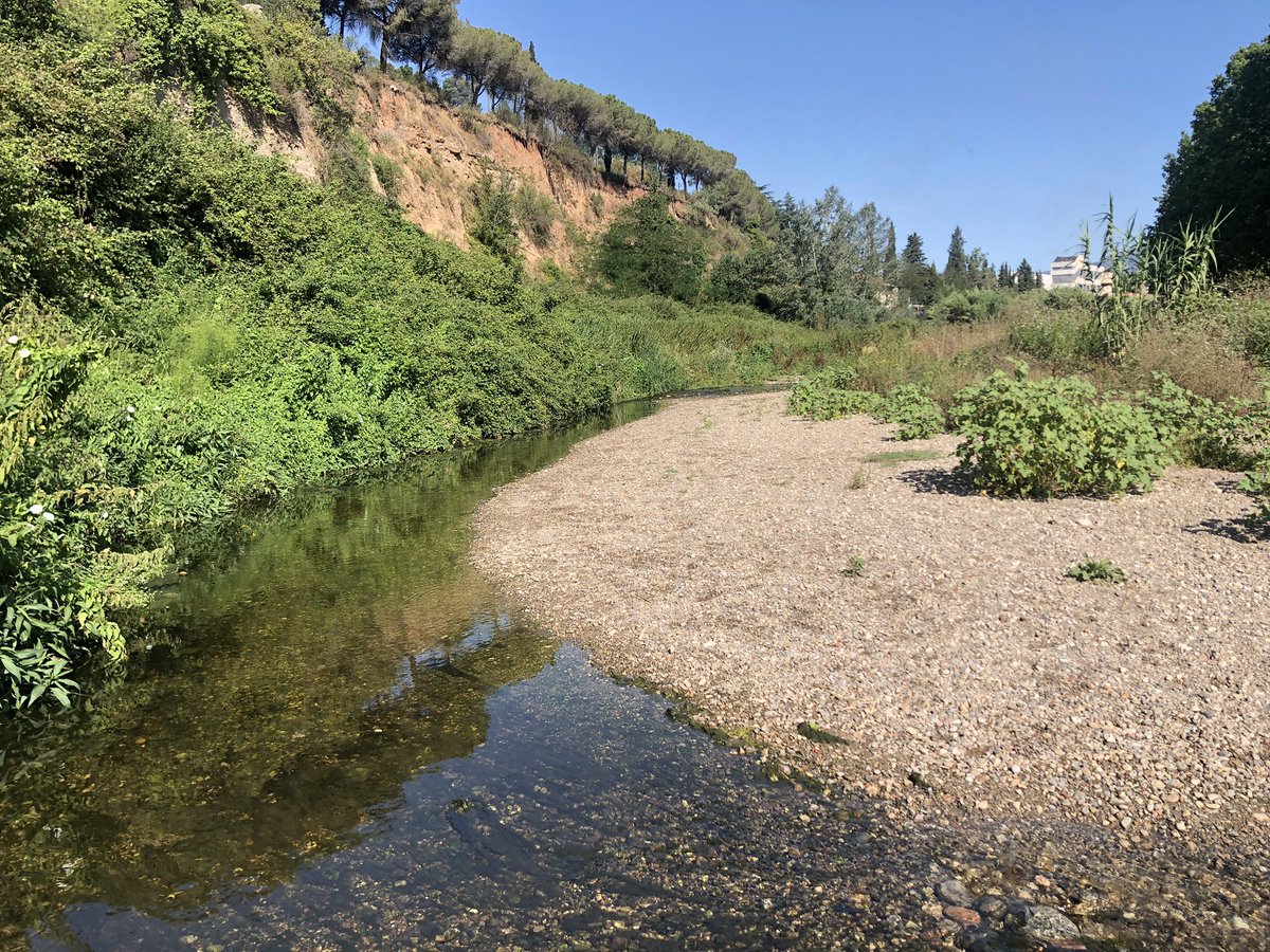 biobertajp's tweet photo. Matí voltant pel Ripoll (de Colobrers a la Bassa), buscant possibles punts per inspecció #ProjecteRius el curs vinent amb @inspauvila 
Coses que fem els profes quan no tenim alumnat a les aules… #20000passes https://t.co/dkrjoAnpDn
