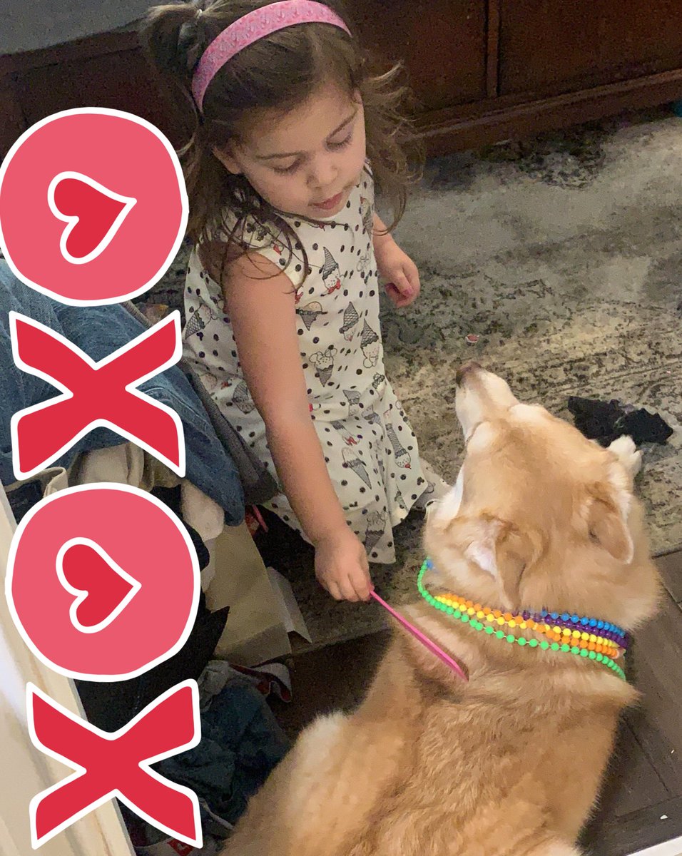 DPomsky's tweet photo. @FearlessJ44 moooooooom how great would it be for me to have a doggie sibling?! I added a few reminders of what a good brother I’ve been to my human siblings 😆 https://t.co/1NyqrgmcdX