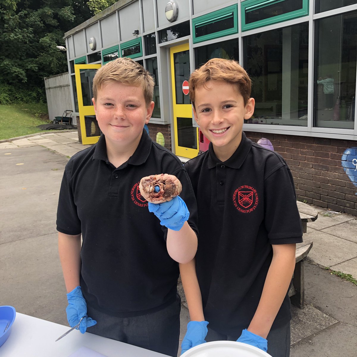standrewsmajor's tweet photo. We dissected a heart to get a real life experience of how the heart works and how the blood flows #SAMsY6 #SAMsTopic #SAMsScience (1/3) https://t.co/CaJ8ELPYDA