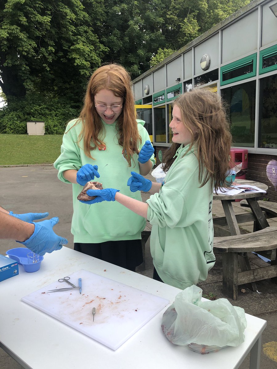 standrewsmajor's tweet photo. We dissected a heart to get a real life experience of how the heart works and how the blood flows #SAMsY6 #SAMsTopic #SAMsScience (1/3) https://t.co/CaJ8ELPYDA