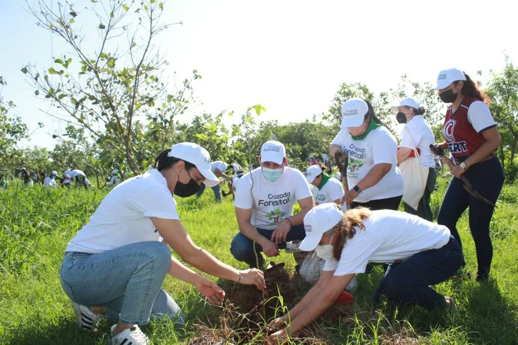 En compañía de mi compañera Diputada <a href="/karemachach/">Karem Achach</a>, nos sumamos a la #CruzadaForestal2022 🌳🌳🌳 del <a href="/AyuntaMerida/">Ayuntamiento Mérida</a>

Agradezco al alcalde <a href="/RenanBarrera/">Renán Barrera</a> por la invitación, y reconozco este importante esfuerzo para seguir construyendo en equipo una Mérida más verde.