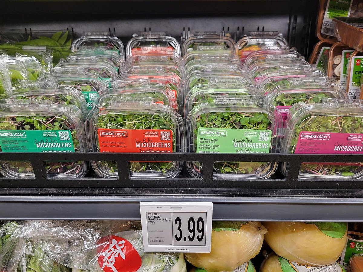 ALLWaysLocal's tweet photo. We are excited to see our @ALLWaysLocal microgreens 🌱 now on shelves in 120 Loblaws-owned stores including @realcdnss and Your Independent Grocer. @IndepGrocerON 
.
.
.
For store locations visit: 
🛒 https://t.co/GrZTc57aTN 
#microgreens #freshgreens #cubicfarms #supportlocal https://t.co/ezrr7ICuNY