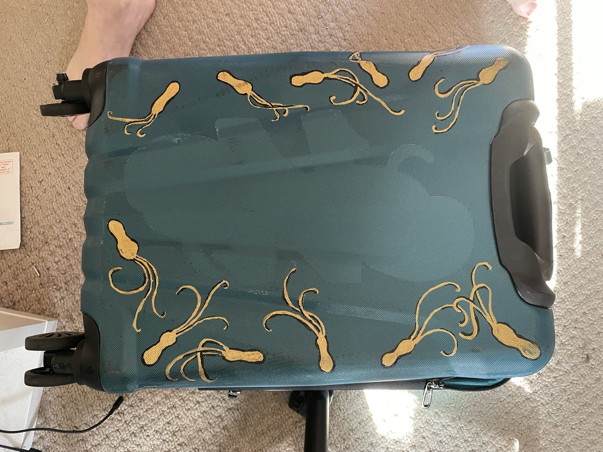 markowenmartin's tweet photo. Traveling with a smaller bag this time. @swirlgirl31415 decorated it. Sadly, the giant #MicrobialBadass sticker by Peggy Muddles has peeled off. https://t.co/nPQ9a3jZEL