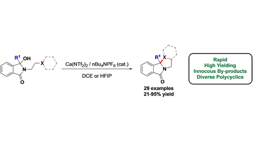 ChemEurJ's tweet photo. Unified Approach to Diverse Fused Fragments via Catalytic Dehydrative Cyclization (McLaughlin et al.) @LancasterUni #OpenAccess https://t.co/1CVAO11g8Q https://t.co/zBbkn3b8RT