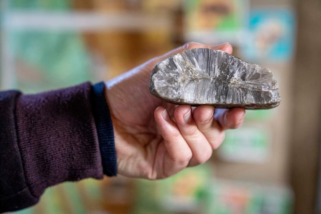 Ci sono ancora posti !

👦👧Domenica 10 luglio vi aspettiamo👉Un vero percorso tattile-sensoriale che permette di conoscere caratteristiche, forme e particolarità dei fossili e delle rocce. 

 Scopri tutto su: extrabo.com/it/attivita/im…

#geotattile #museodeibotroidi #estate