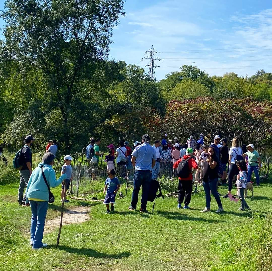 Thank you to <a href="/PaulaFletcherTO/">Paula Fletcher</a> for continuing to support the struggle to have <a href="/Metrolinx/">Metrolinx</a> relocate the unnecessary and environmentally destructive Don Valley Layover to a more suitable location. Hopefully today's motion will carry over to full support of council and <a href="/MayorTory/">Mayor Tory</a>