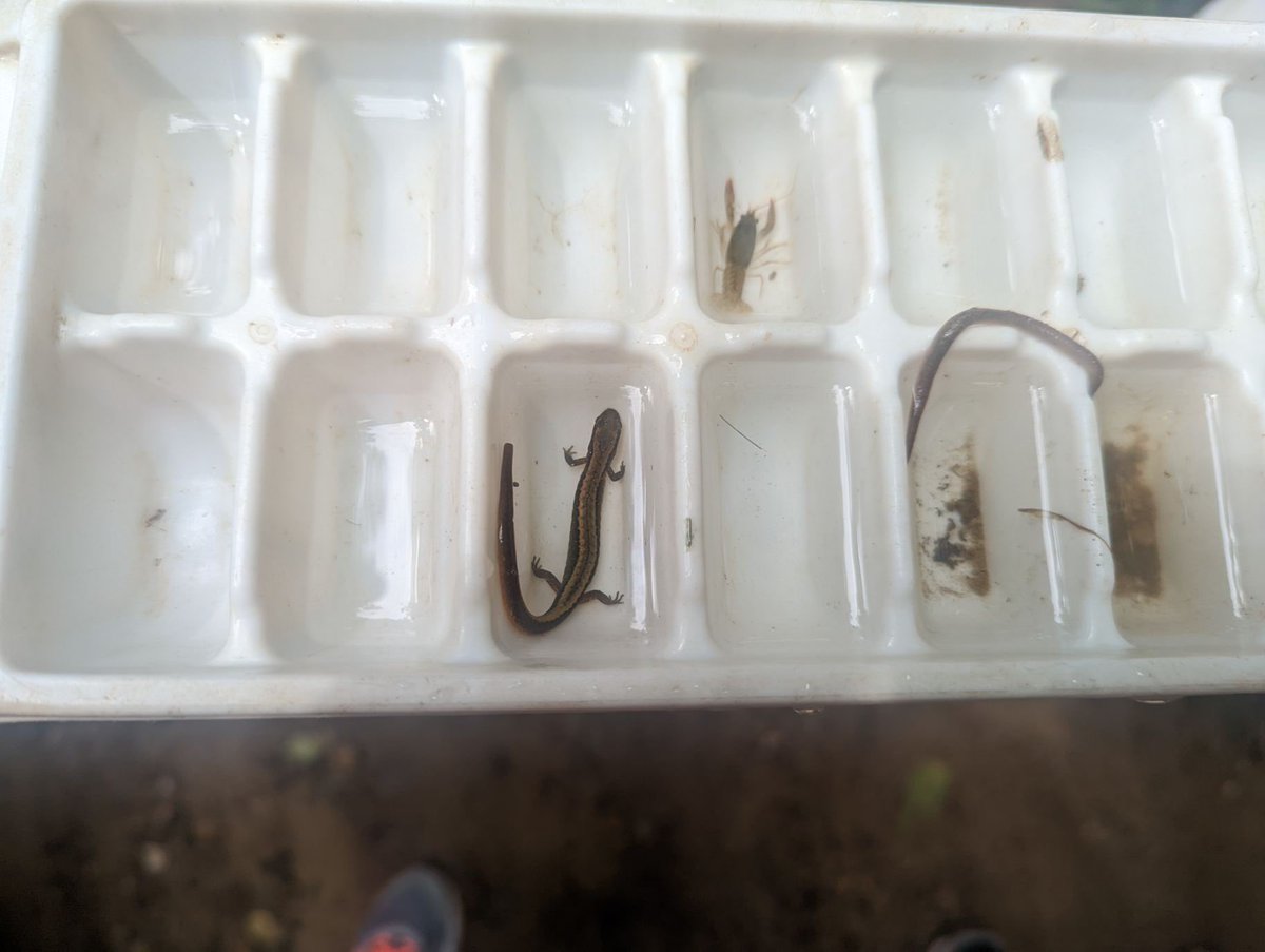 Kisha Logan, Ed.D. tweet media