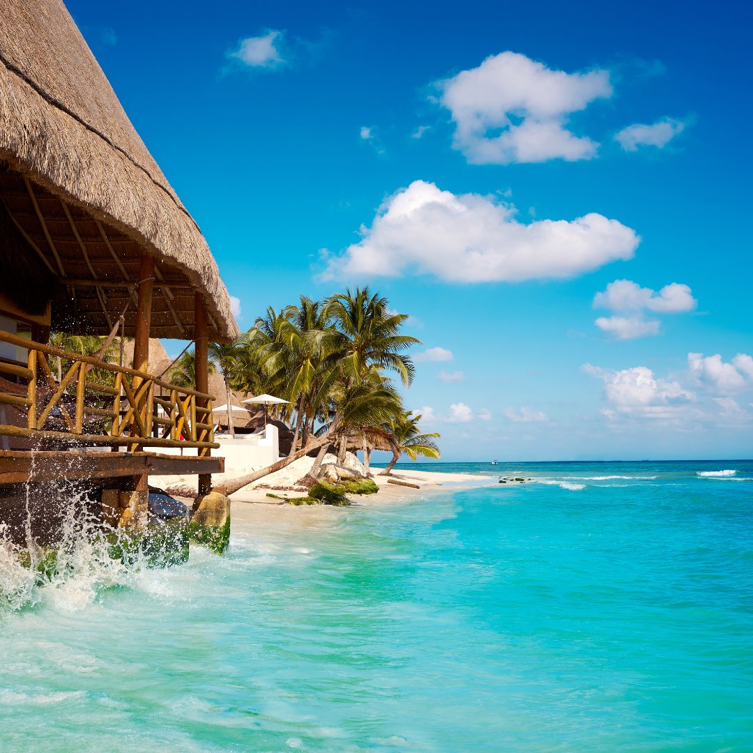 tvlwithsky's tweet photo. #PlayadelCarmen #RivieraMaya #Mexico #InspiraVacations #InspiraHolding #vacations #holidays #summer #summer2022 #traveler #travelgram #wanderlust #traveltheworld #tourism https://t.co/lkZQGhJ6dw