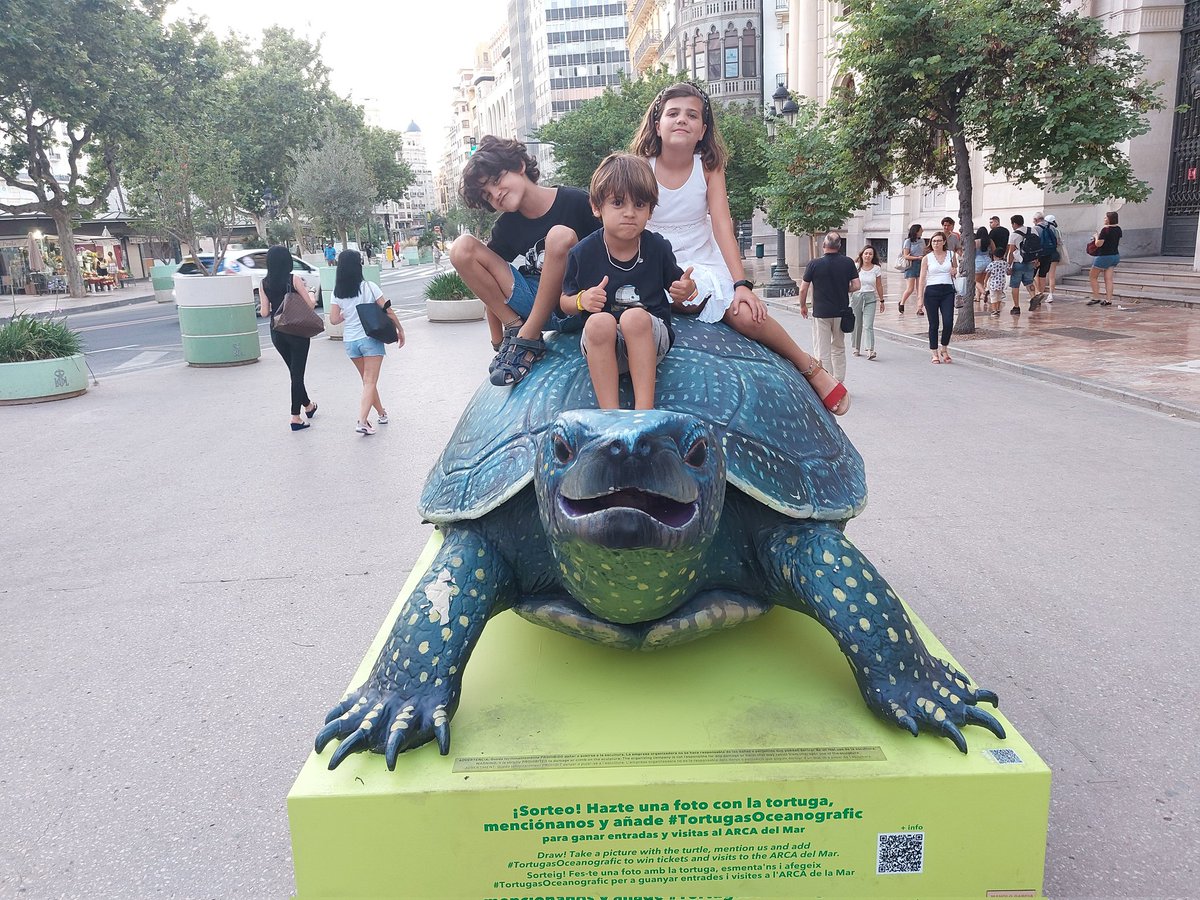 .#TortugasOceanografic @oceanografic_vl