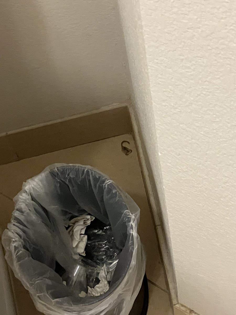 DrewMikeChuck's tweet photo. @benabo scorpion spotted in my hotel bathroom in Odessa, TX this morning. Pls identify and let us know how lethal. CC: @DCdreadful https://t.co/1gS34jVHCj