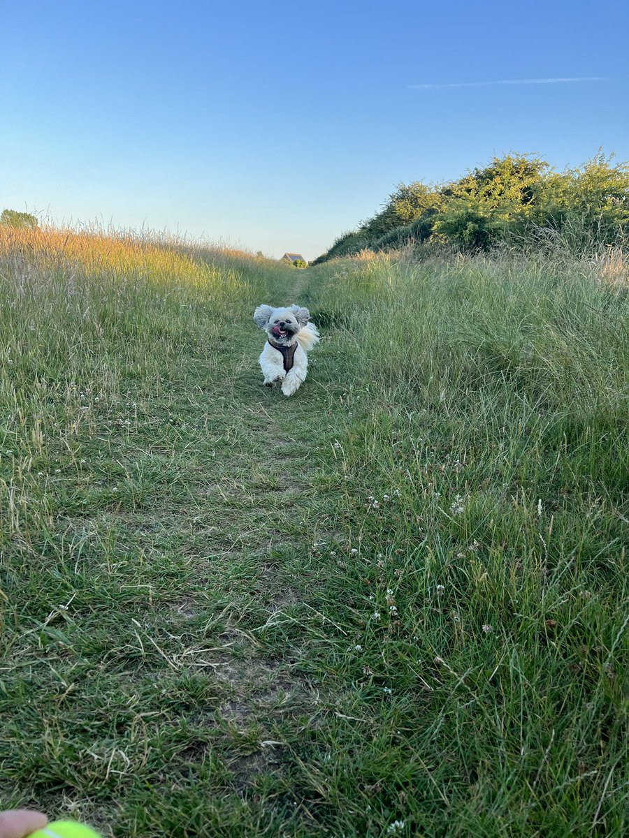 MrTeddyTedster tweet media