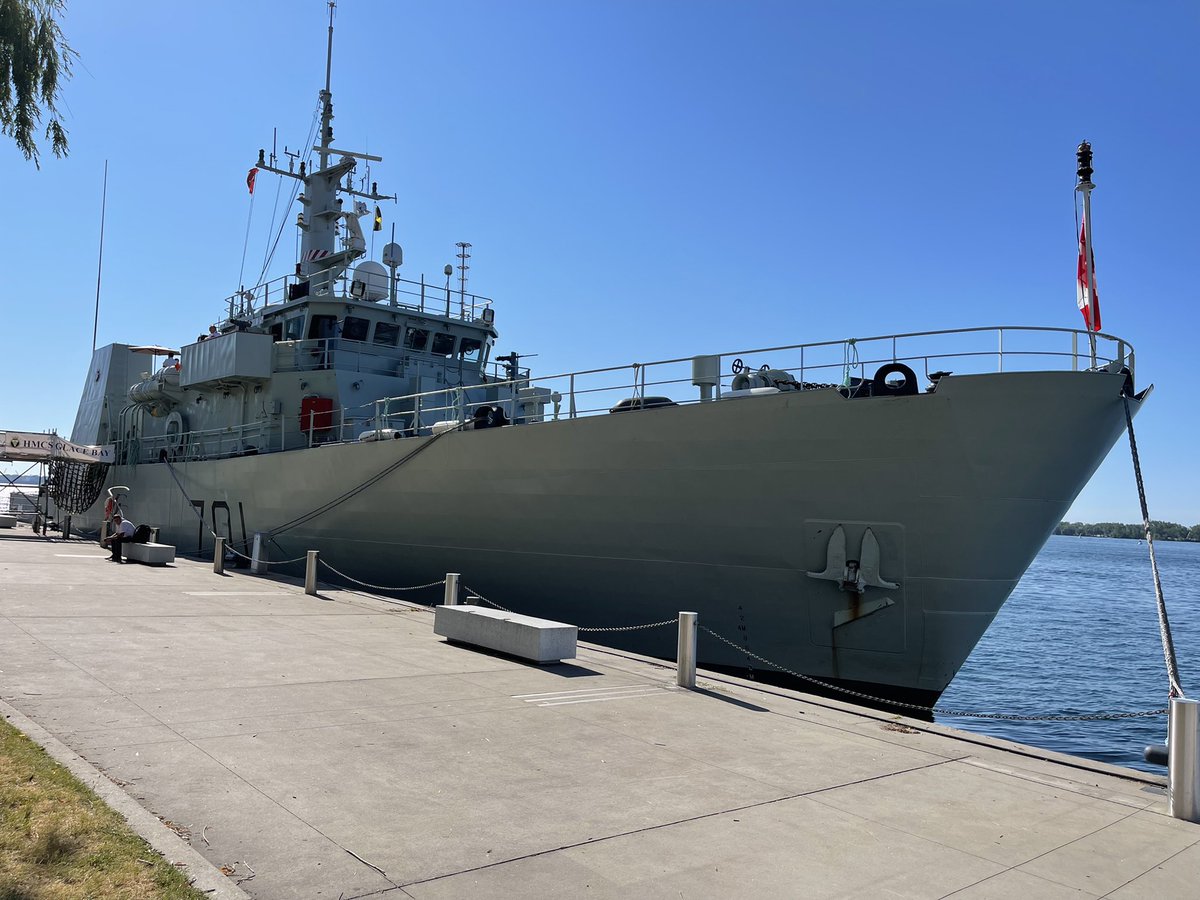 Stephen Virgin tweet media